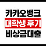카카오뱅크 비상금대출, 대학생들은 진짜 써봤을까? 직접 써본 후기 정리 12